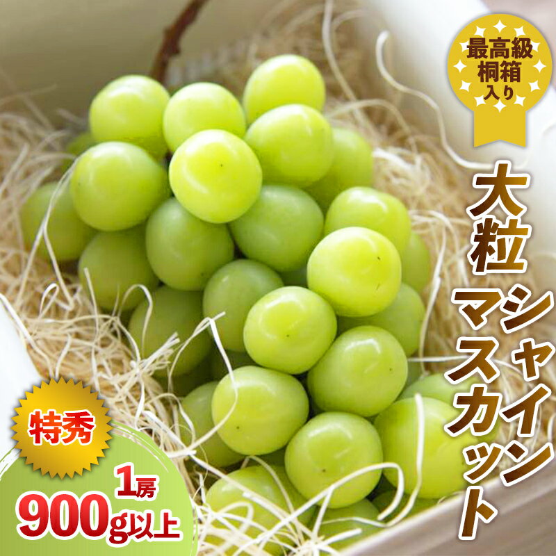 最高級桐箱入り 大粒 シャインマスカット 特秀品 900g以上【令和8年産先行予約】FS24-043くだもの 果物 フルーツ 山形 山形県 山形市 お取り寄せ 先行予約 2026年産