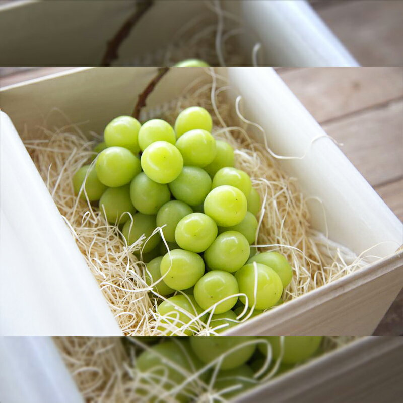 【ふるさと納税】最高級桐箱入り 大粒 シャインマスカット 特秀品 900g以上【令和8年産先行予約】FS24-043くだもの 果物 フルーツ 山形 山形県 山形市 お取り寄せ 先行予約 2026年産 サムネイル2