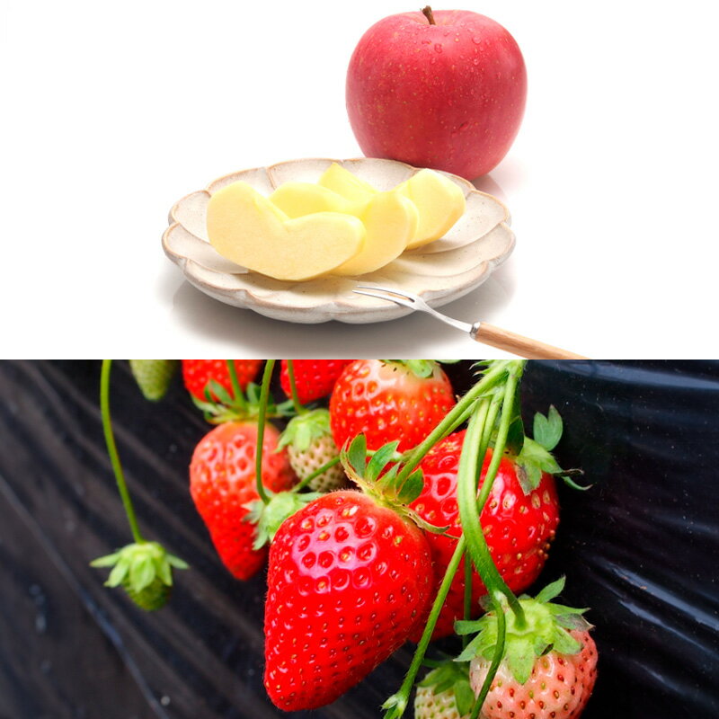 【定期便6回】厳選フルーツお楽しみ 山形市 フルーツ 山形 FZ25-990 サムネイル3