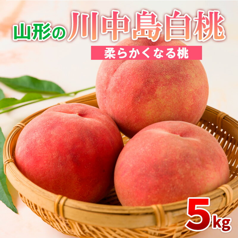 山形の川中島白桃 5kg (10〜16玉) [柔らかくなる桃]【令和8年産先行予約】FS24-565くだもの 果物 フルーツ 山形 山形県 山形市 お取り寄せ 先行予約 2026年産