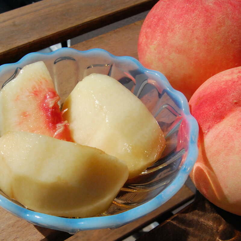 【ふるさと納税】山形の川中島白桃 5kg (10〜16玉) [柔らかくなる桃]【令和8年産先行予約】FS24-565くだもの 果物 フルーツ 山形 山形県 山形市 お取り寄せ 先行予約 2026年産 - 画像3