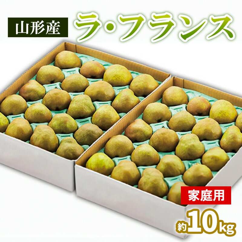 山形のラ・フランス ご家庭用 約10kg(5kg×2箱) 24〜48個　 FY25-829