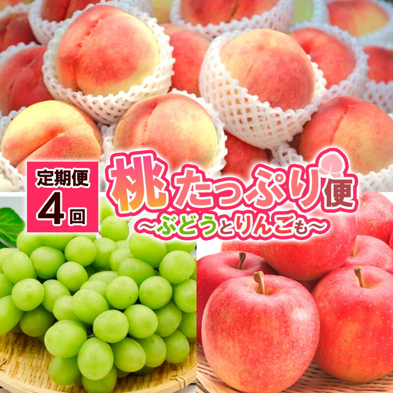 【定期便4回】桃たっぷり便〜ぶどうとりんごも〜 【令和8年産先行予約】FS25-689くだもの 果物 フルーツ 山形 山形県 山形市 お取り寄せ 先行予約 2026年産