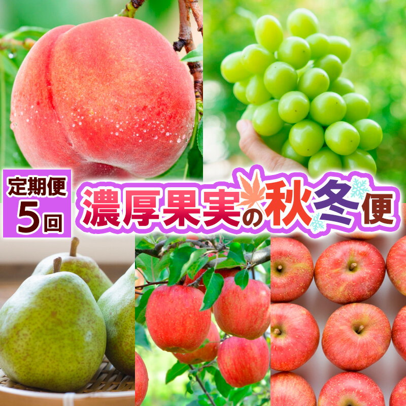 【定期便5回】濃厚果実の秋冬便 【令和8年産先行予約】FS25-692くだもの 果物 フルーツ 山形 山形県 山形市 お取り寄せ 先行予約 2026年産