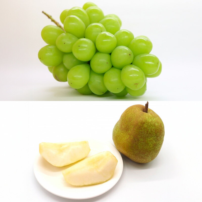 【ふるさと納税】【定期便5回】濃厚果実の秋冬便 【令和8年産先行予約】FS25-692くだもの 果物 フルーツ 山形 山形県 山形市 お取り寄せ 先行予約 2026年産 サムネイル3