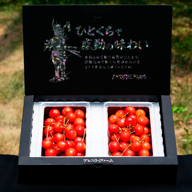 【ふるさと納税】さくらんぼ 「佐藤錦」500g Lサイズ以上 山形産【令和8年産先行予約】 FS25-927 サムネイル2