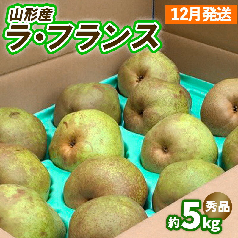 山形のラ・フランス約5kg（10～16玉 3L～6L)[12月発送] FY25-028