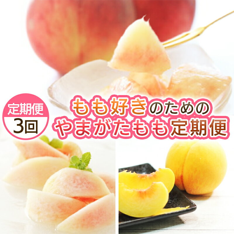 【定期便3回】もも好きのためのやまがたもも定期便 【令和8年産先行予約】FS25-694くだもの 果物 フルーツ 山形 山形県 山形市 お取り寄せ 先行予約 2026年産