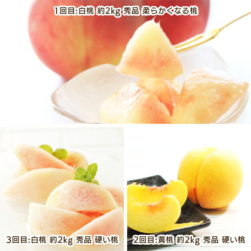 【ふるさと納税】【定期便3回】もも好きのためのやまがたもも定期便 【令和8年産先行予約】FS25-694くだもの 果物 フルーツ 山形 山形県 山形市 お取り寄せ 先行予約 2026年産 サムネイル2