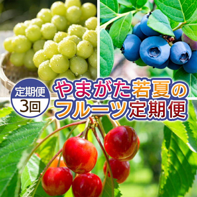 【定期便3回】やまがた 若夏のフルーツ定期便 【令和8年産先行予約】FS25-700くだもの 果物 フルーツ 山形 山形県 山形市 お取り寄せ 先行予約 2026年産