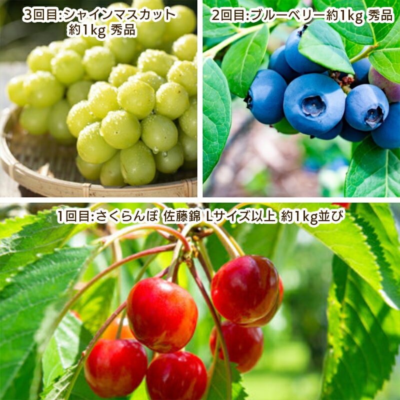 【ふるさと納税】【定期便3回】やまがた 若夏のフルーツ定期便 【令和8年産先行予約】FS25-700くだもの 果物 フルーツ 山形 山形県 山形市 お取り寄せ 先行予約 2026年産 サムネイル2