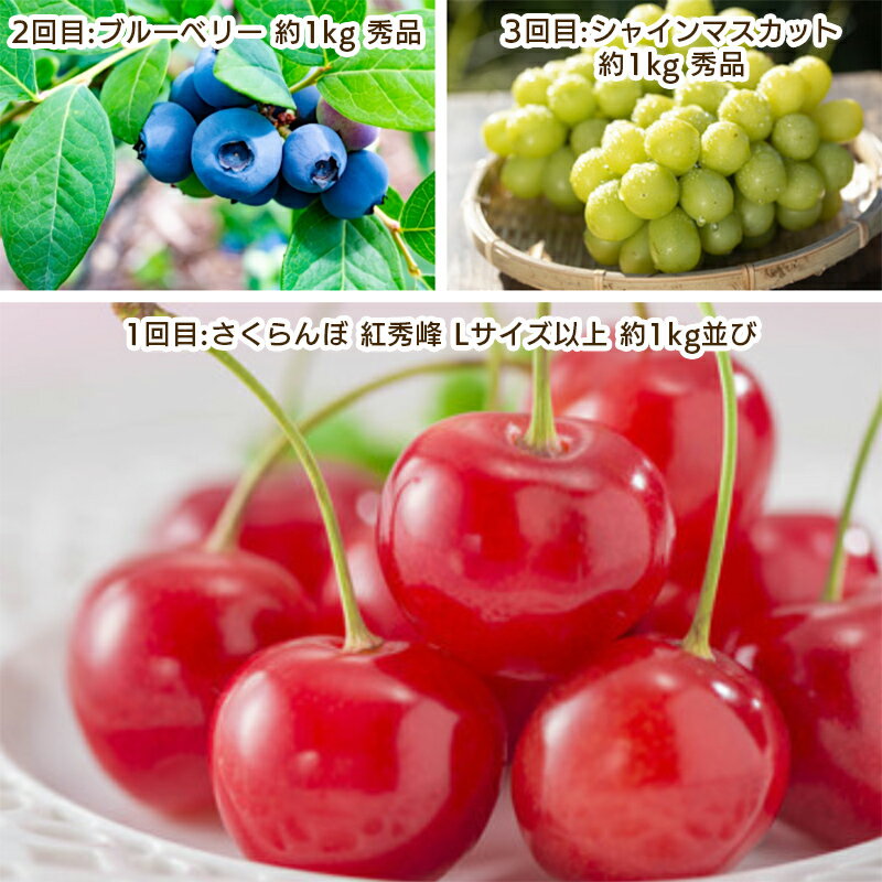 【ふるさと納税】【定期便3回】やまがた　仲夏フルーツ定期便 【令和8年産先行予約】FS25-701くだもの 果物 フルーツ 山形 山形県 山形市 お取り寄せ 先行予約 2026年産 サムネイル2