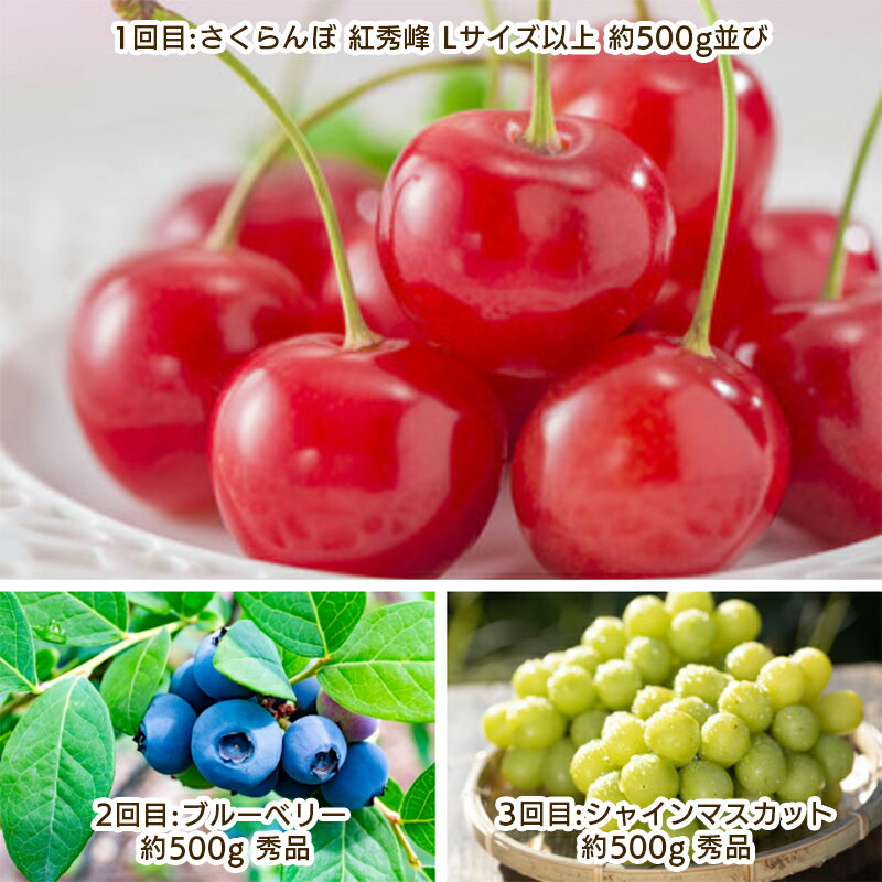 【ふるさと納税】【定期便3回】やまがた 晴天のフルーツ定期便 【令和8年産先行予約】FS25-702くだもの 果物 フルーツ 山形 山形県 山形市 お取り寄せ 先行予約 2026年産 サムネイル2