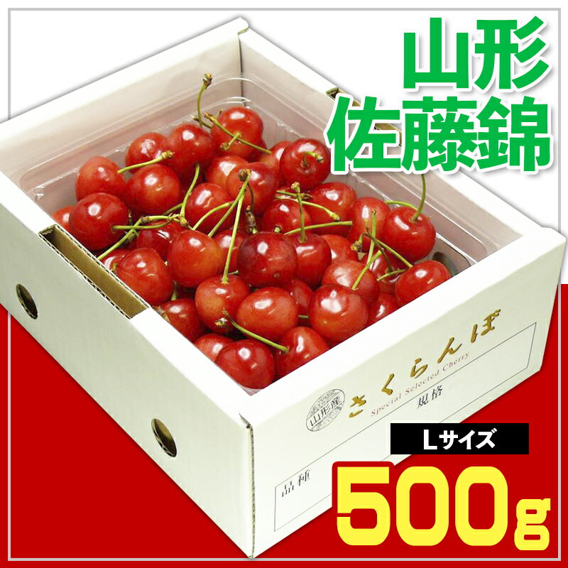 ☆山形さくらんぼ ☆ 佐藤錦 Lサイズ 500g バラ 化粧箱詰【令和8年産先行予約】FS25-540 くだもの 果物 フルーツ 山形 山形県 山形市 お取り寄せ 2026年産