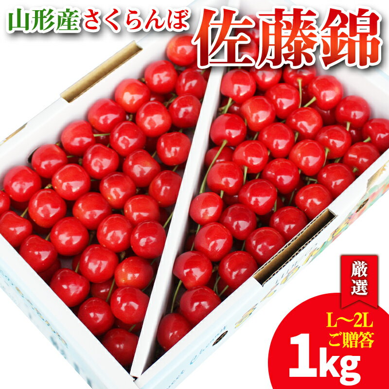 【厳選 ご贈答 バラ詰め】本場 山形産 さくらんぼ 佐藤錦 1kg(L〜2Lサイズ) 【令和8年産先行予約】 FS25-585 くだもの 果物 フルーツ 山形 山形県 山形市 お取り寄せ 2026年産