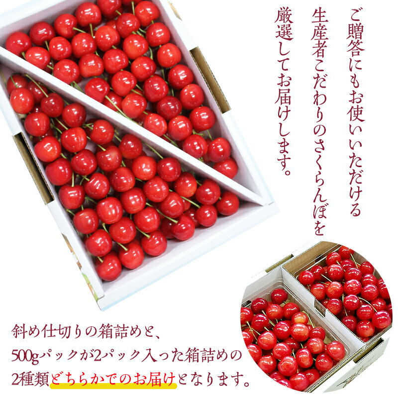【ふるさと納税】【厳選 ご贈答 バラ詰め】本場 山形産 さくらんぼ 佐藤錦 1kg(L〜2Lサイズ) 【令和8年産先行予約】 FS25-585 くだもの 果物 フルーツ 山形 山形県 山形市 お取り寄せ 2026年産 サムネイル2