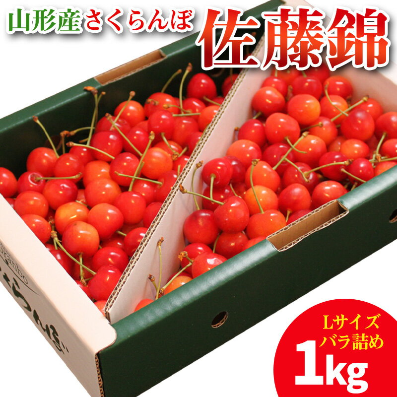 山形産 さくらんぼ 佐藤錦 1kg Lサイズ バラ詰め 【令和8年産先行予約】FS25-704くだもの 果物 フルーツ 山形 山形県 山形市 お取り寄せ 先行予約 2026年産