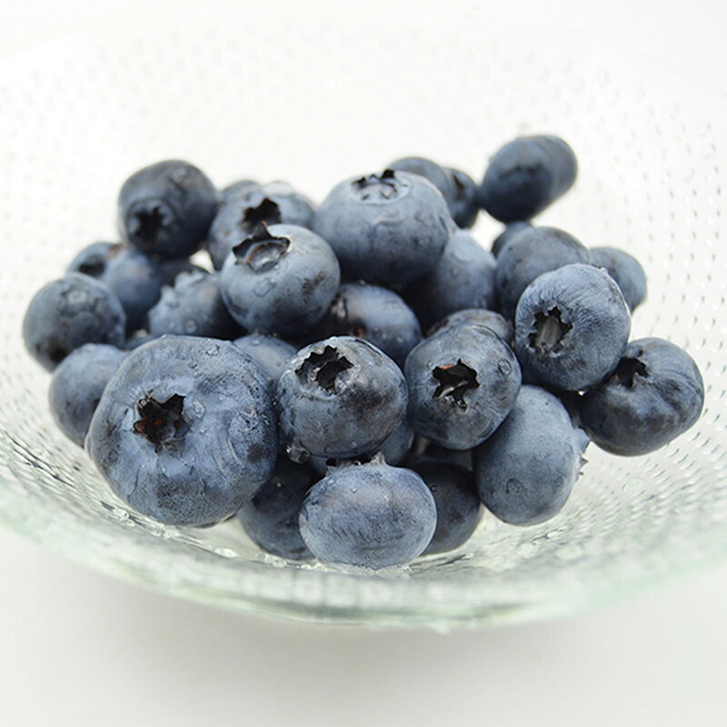 【ふるさと納税】山形の朝摘み生ブルーベリー「ガイアの雫」500g(100g×5パック) 【令和8年産先行予約】FS25-705くだもの 果物 フルーツ 山形 山形県 山形市 お取り寄せ 先行予約 2026年産 サムネイル3