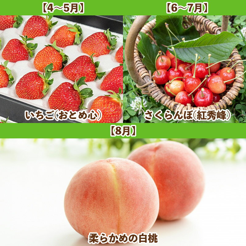 【ふるさと納税】【定期便5回】山形人気果実ベスト5 FY25-284 サムネイル2