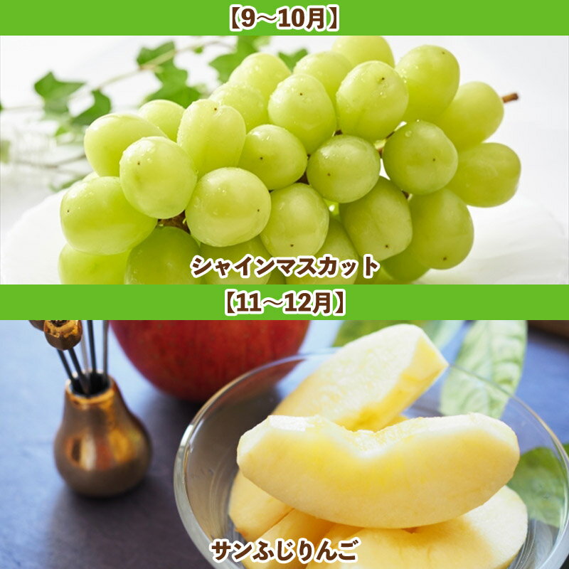 【ふるさと納税】【定期便5回】山形人気果実ベスト5 FY25-284 サムネイル3