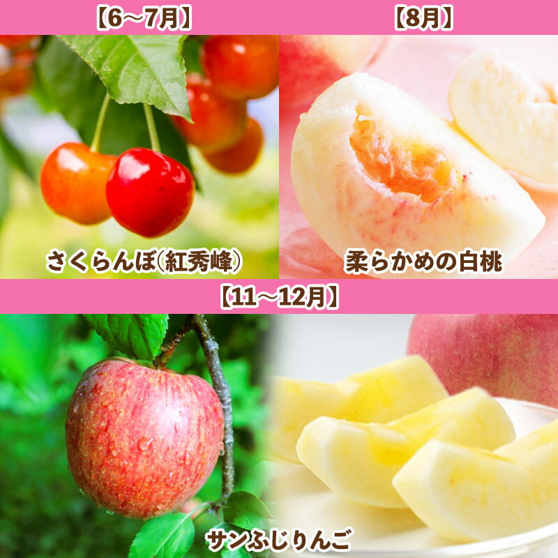 【ふるさと納税】【定期便3回】山形人気果実ベスト3 FY25-286 サムネイル2
