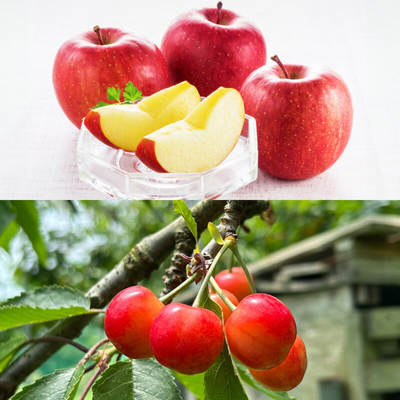 【ふるさと納税】【定期便4回】☆フルーツ王国山形☆『りんご、紅秀峰、白桃、すもも』 FY25-310 サムネイル2