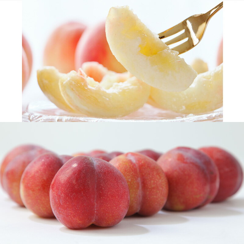 【ふるさと納税】【定期便4回】☆フルーツ王国山形☆『りんご、紅秀峰、白桃、すもも』 FY25-310 サムネイル3