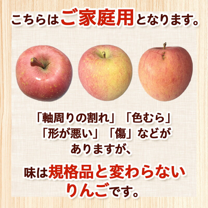【ふるさと納税】【ご家庭用】サンふじリンゴ 5kg (12～20玉) FY25-359 サムネイル2