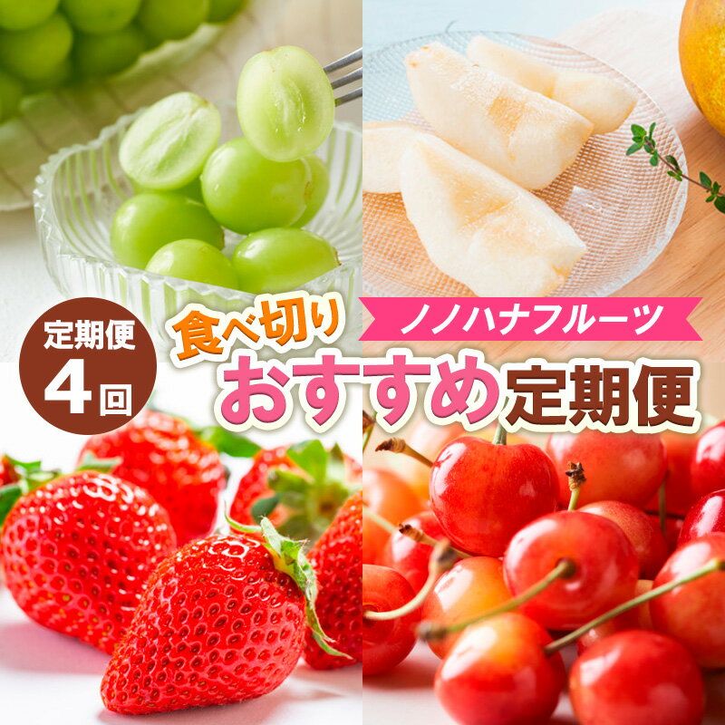 【定期便4回】ノノハナフルーツ　食べ切りおすすめ定期便 FY25-811