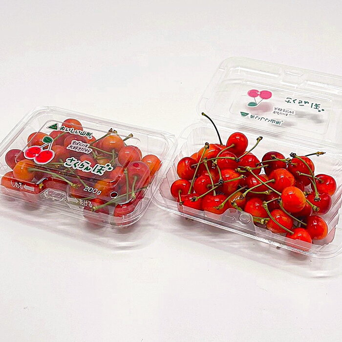 【ふるさと納税】【定期便5回】おいしい！ジューシー！山形フルーツ　バラエティ定期便 FY25-821 サムネイル3