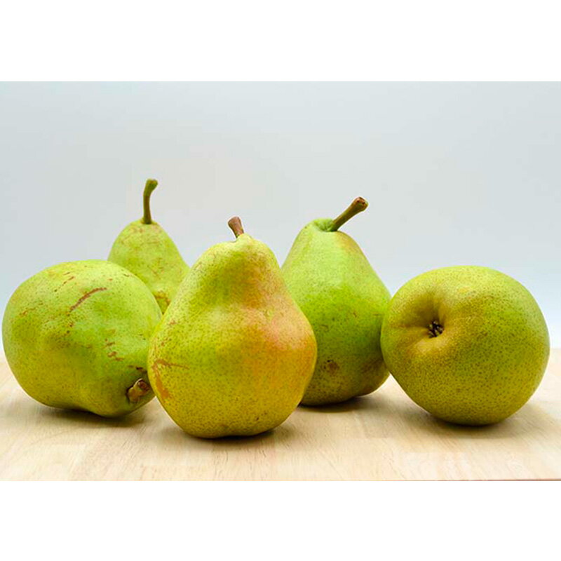 【ふるさと納税】★定期便3回★山形の洋梨食べつくし！(マリゲットマリーラ・ラフランス・シルバーベル) 【令和8年産先行予約】FS25-688くだもの 果物 フルーツ 山形 山形県 山形市 お取り寄せ 先行予約 2026年産 サムネイル2