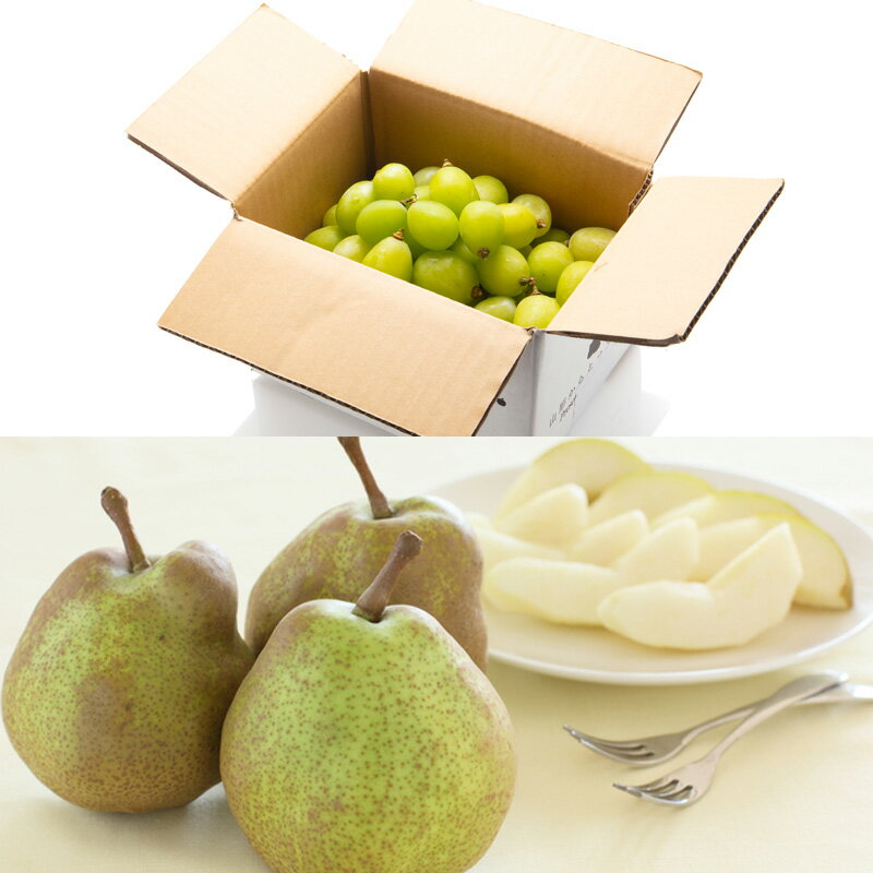 【定期便6回】厳選フルーツお楽しみ 山形市 フルーツ 山形 FZ25-990 サムネイル2