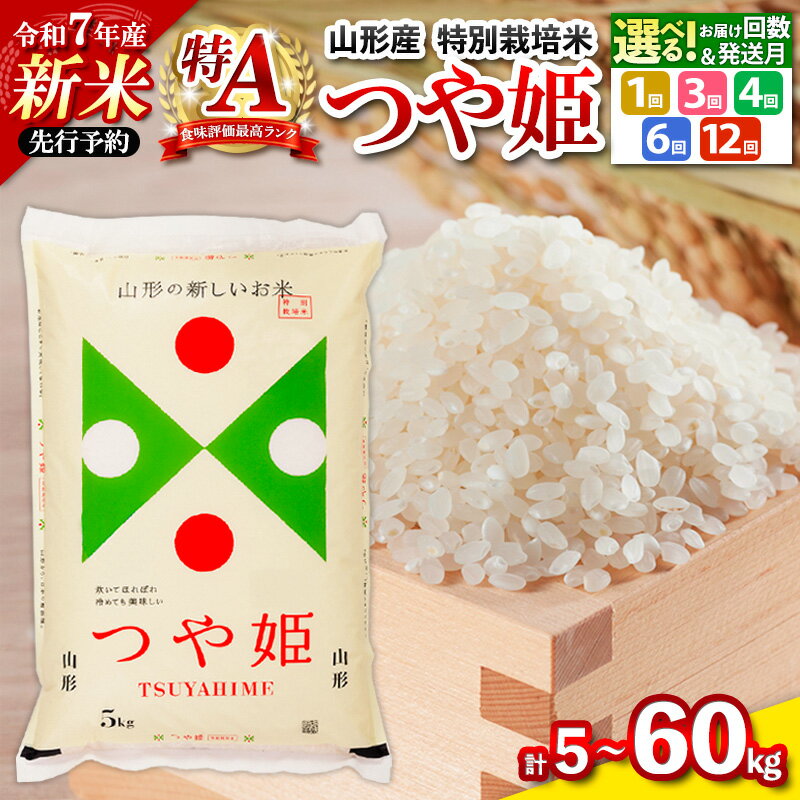 令和7年産 新米 つや姫 特別栽培米 5kg ★高評価★4.6 定期便 お届け回数が選べる 配送回数が選べる 山形産 特別栽培米 5kg 1回 3回 4回 6回 12回 山形 お取り寄せ 送料無料 発送回数 選べる 精米 ブランド米 山形市 山形県