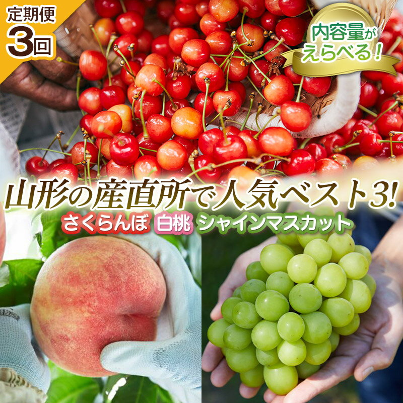 【定期便3回】選べる 内容量 山形の産直所で人気ベスト3の定期便 FZ25-948 くだもの 果物 フルーツ 山形 山形県 山形市 お取り寄せ