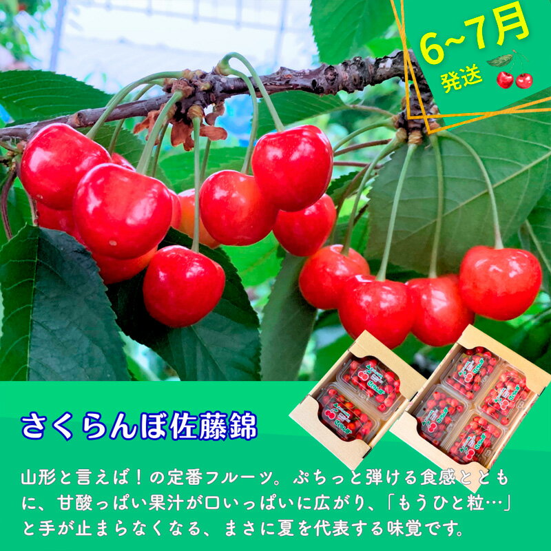 【ふるさと納税】【定期便3回】やまがた フルーツ定期便 ”蔵王” 山形名物フルーツ [佐藤錦・シャインマスカット・ラ・フランス] fz24-528 fy25-343 食べきりサイズ 増量サイズ くだもの 果物 フルーツ 山形 山形県 山形市 お取り寄せ サムネイル3