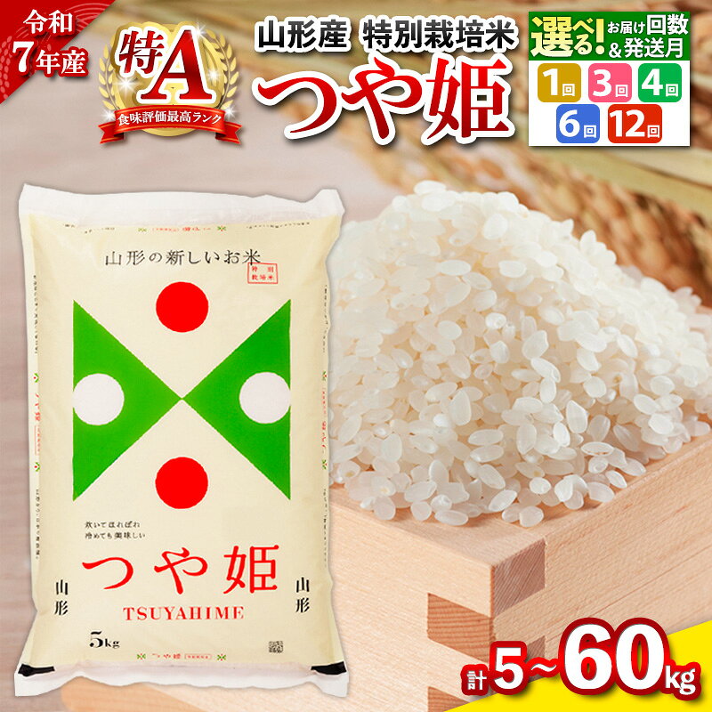 令和7年産 つや姫 特別栽培米 5kg ★高評価★4.6 定期便 お届け回数が選べる 配送回数が選べる 山形産 特別栽培米 5kg 1回 3回 4回 6回 12回 山形 お取り寄せ 送料無料 発送回数 選べる 精米 ブランド米 山形市 山形県