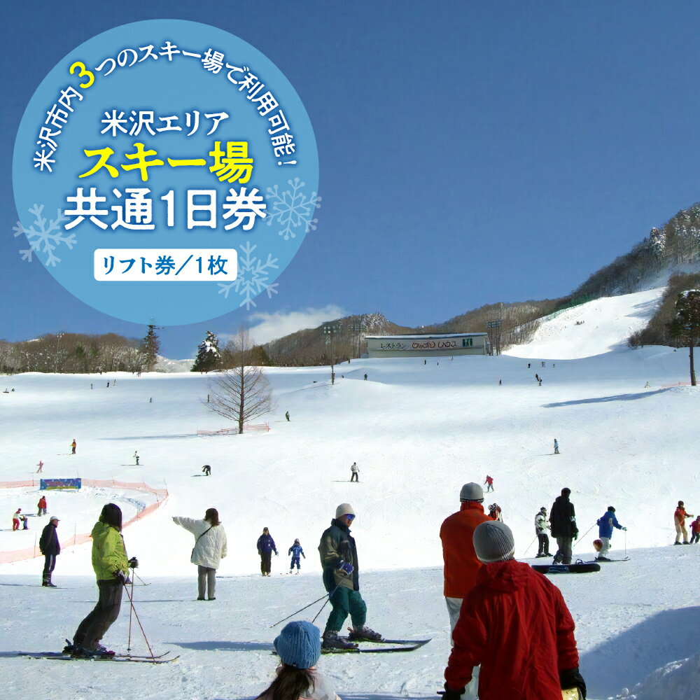 【ふるさと納税】 米沢 エリアスキー場 共通1日券 ( リフト券 )1日券 リフト スキー場 共通券 リフト1日券 天元台高原スキー場 米沢スキー場 小野川温泉スキー場 スキー スノーボード スポーツ ウィンタースポーツ 山形県 米沢市