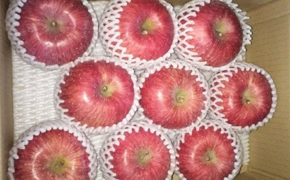 【ふるさと納税】【令和7年産】りんご ふじ 3kg 7〜12玉【12月上旬〜お届け】2025年産 りんご リンゴ 林檎 ふじ 3kg 7～12玉 産地直送 直送 農家直送 フルーツ 山形県 米沢市 サムネイル2