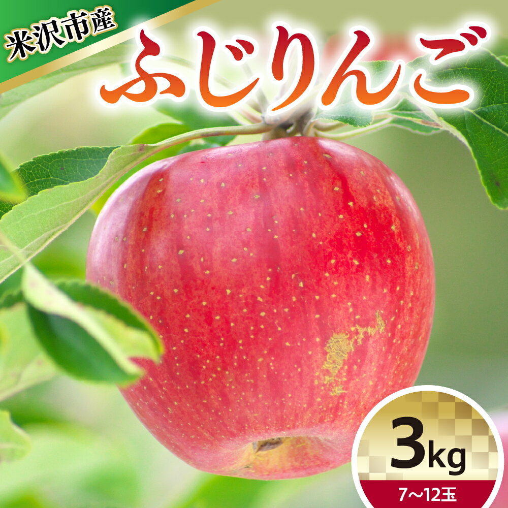 【令和7年産】りんご ふじ 3kg 7〜12玉【12月上旬〜お届け】2025年産 りんご リンゴ 林檎 ふじ 3kg 7～12玉 産地直送 直送 農家直送 フルーツ 山形県 米沢市