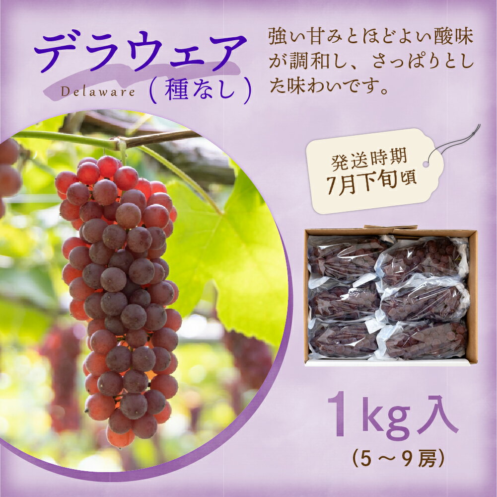 【ふるさと納税】【先行予約】 令和8年産 旬のフルーツ 4回 定期便 さくらんぼ 佐藤錦 ぶどう デラウェア りんご 秋陽 西洋梨 ラ・フランス サムネイル3