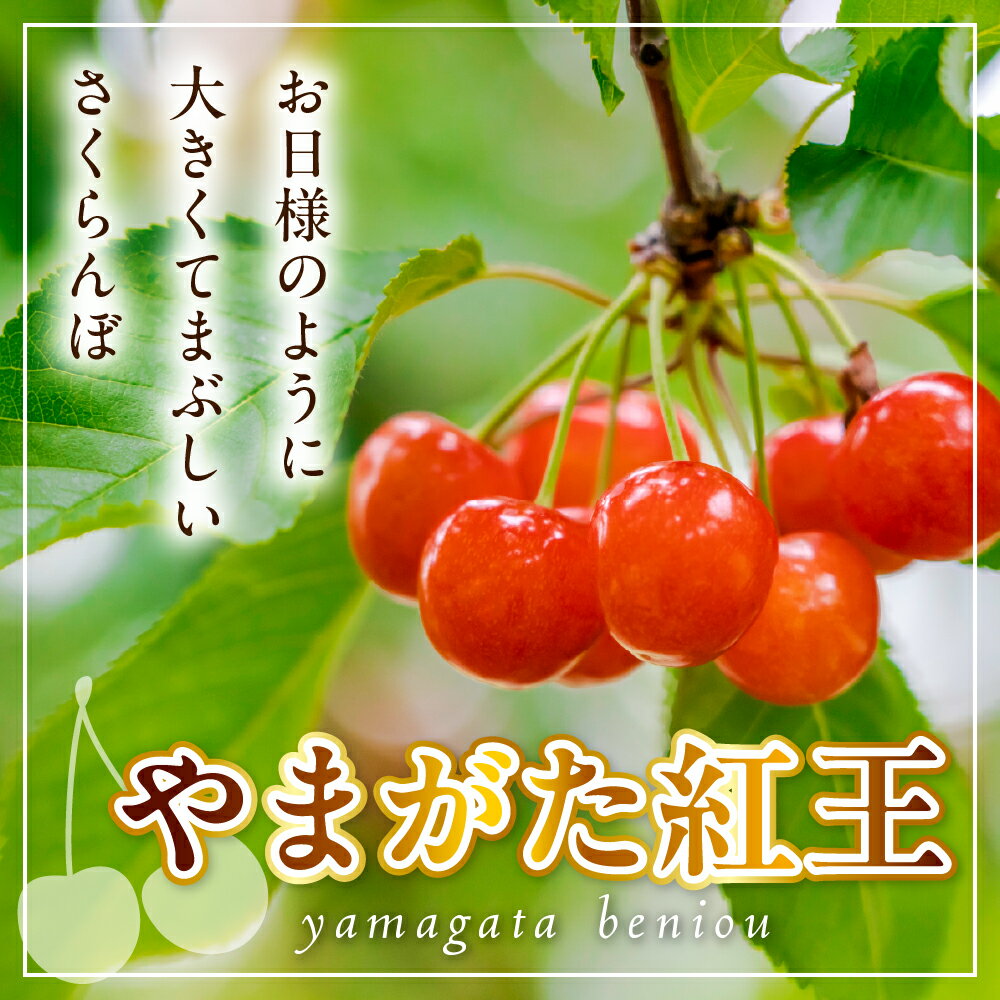 【ふるさと納税】【先行予約】 令和8年産 さくらんぼ やまがた紅王 1箱 18粒 2L～3L玉 化粧箱入 2026年6月下旬～7月上旬頃お届け予定 サムネイル3