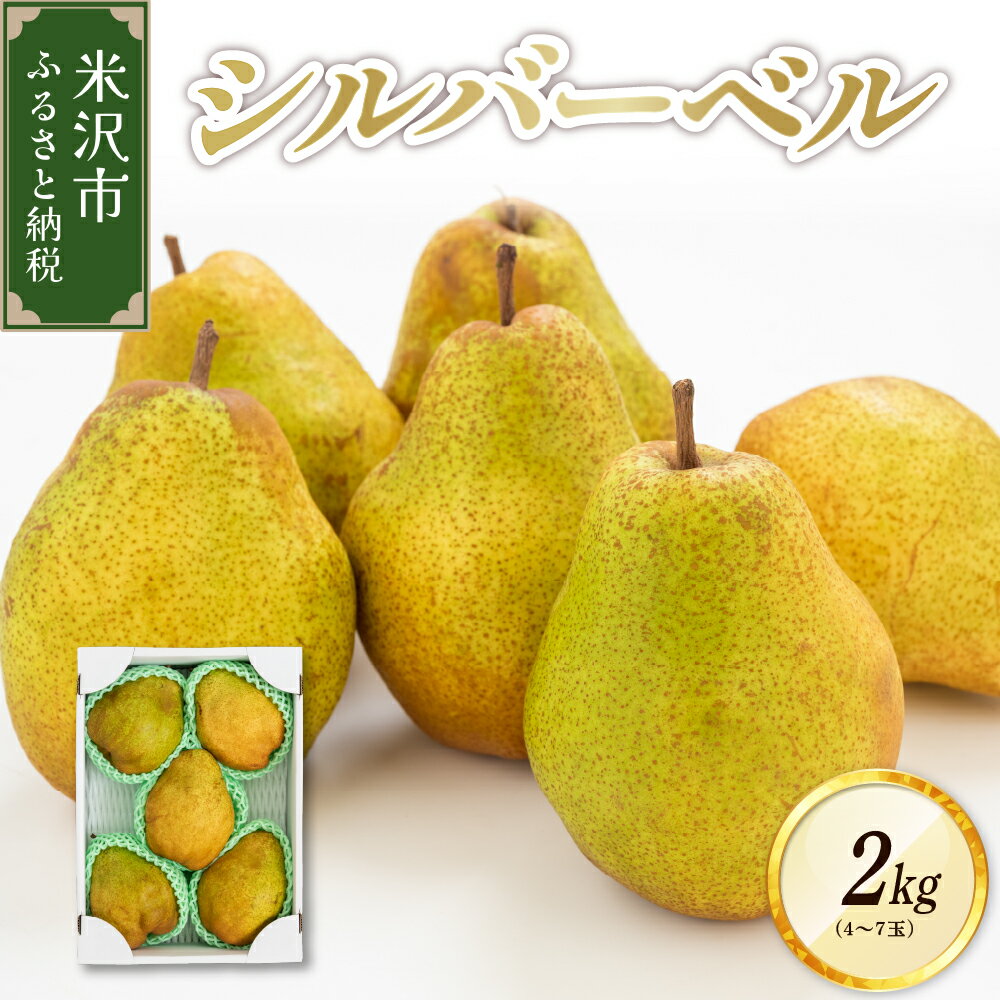 【 先行予約 令和7年産 】 シルバーベル 2kg (4〜7玉) 2025年12月中旬〜 お届け 洋梨 西洋梨 2025年産 先行受付 洋なし 西洋梨 フルーツ 果物 くだもの お取り寄せ 山形県 米沢市 秋 旬