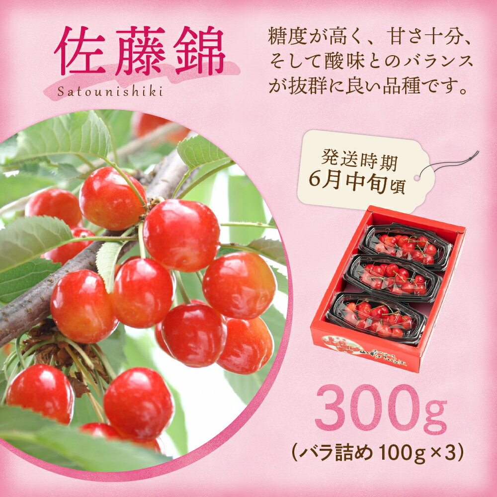【ふるさと納税】【先行予約】 令和8年産 旬のフルーツ 4回 定期便 さくらんぼ 佐藤錦 ぶどう デラウェア りんご 秋陽 西洋梨 ラ・フランス サムネイル2