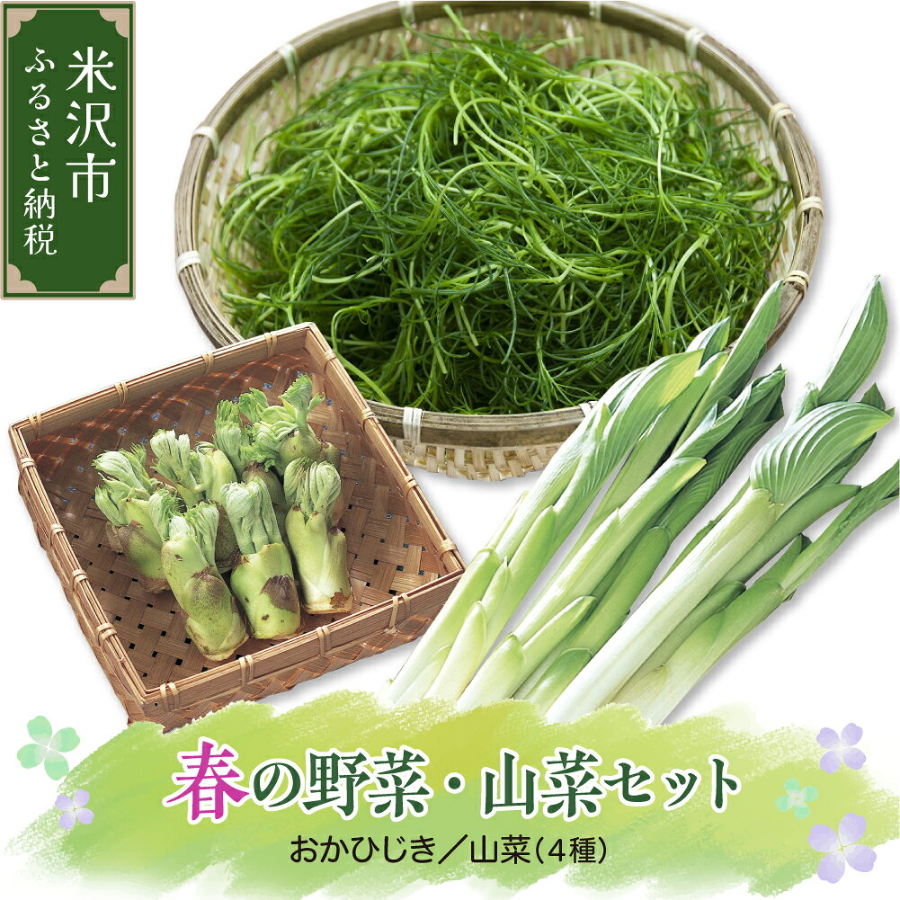 【先行予約】 令和8年産 春の山菜セット おかひじき 500g 山菜 1箱 ( うるい わらび みず ふき タラの芽 など 4種類 ) 2026年4月下旬～5月下旬頃 お届け予定