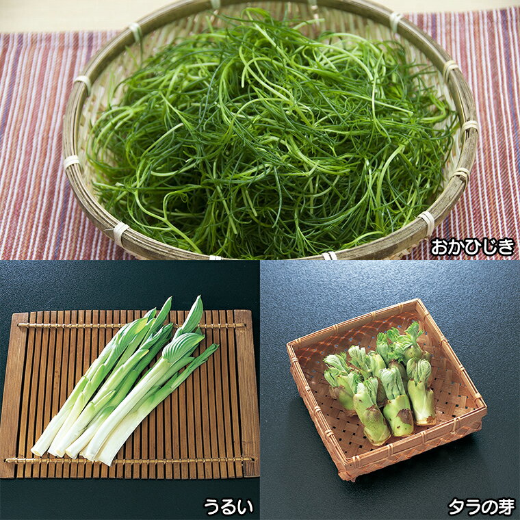 【ふるさと納税】【先行予約】 定期便 全5回 配送 令和8年産 季節めぐりセット 野菜の定期便 山菜 夏野菜 芋煮 寒中野菜 漬物 - 画像2