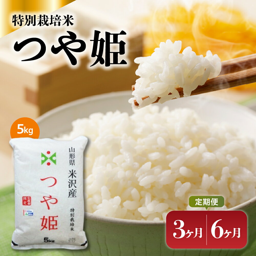 【定期便】 令和7年産 特別栽培米 つや姫 5kg 選べる 3ヶ月 6ヶ月 山形県 米沢産 精米