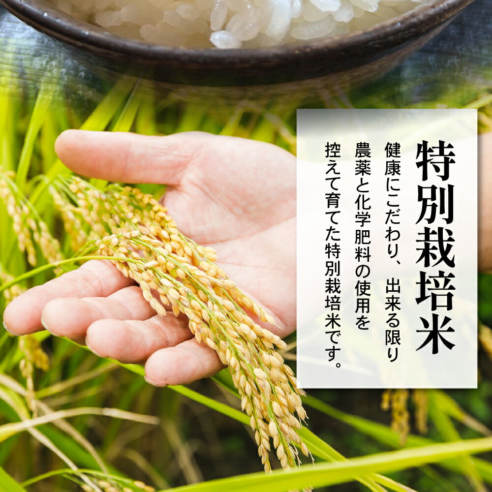 【ふるさと納税】【 令和7年産 】 米沢米 棚田米 はえぬき 10kg ( 5kg × 2袋 ) 特別栽培米 2025年産 産地直送 農家直送 米沢産 精米 米 お米 白米 ブランド米 贈答 ギフト 山形県 米沢市 常温保存 - 画像3