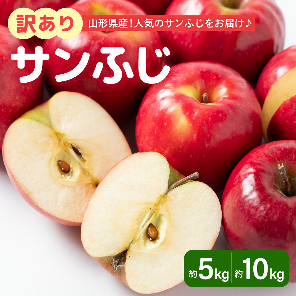 【先行予約】 令和8年産 訳あり りんご サンふじ 約5kg または 約10kg 玉数 お任せ ご家庭用 2026年11月中旬～12月上旬頃 お届け予定 山形県 米沢市