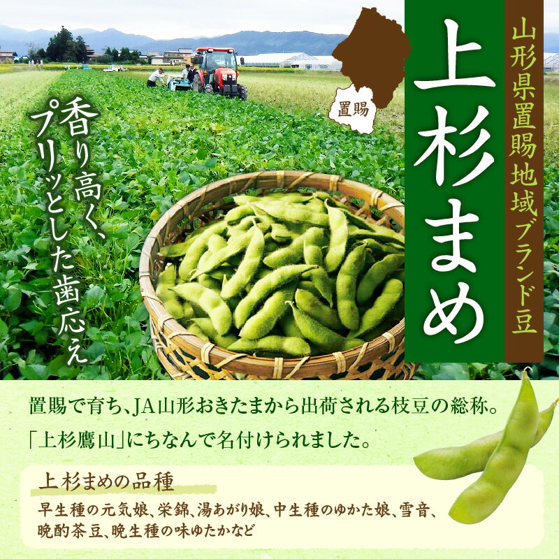 【ふるさと納税】【先行予約】 令和8年産 枝豆 上杉まめ 250g × 8袋 計2kg 1箱 品種 おまかせ 2026年8月上旬～下旬頃 お届け予定 山形県 米沢市 - 画像2