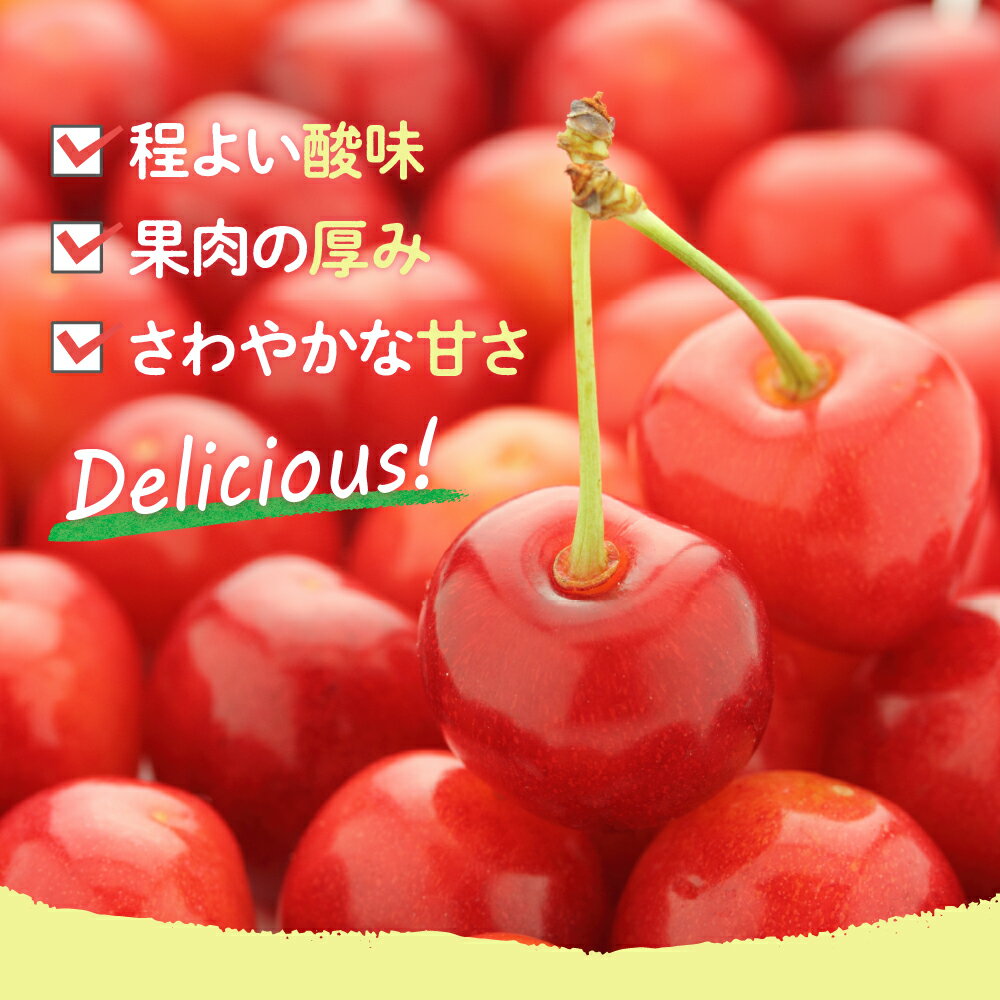 【ふるさと納税】【先行予約】 令和8年産 さくらんぼ 佐藤錦 1kg ( 手詰め ) 2026年6月上旬～下旬頃お届け予定 サムネイル2